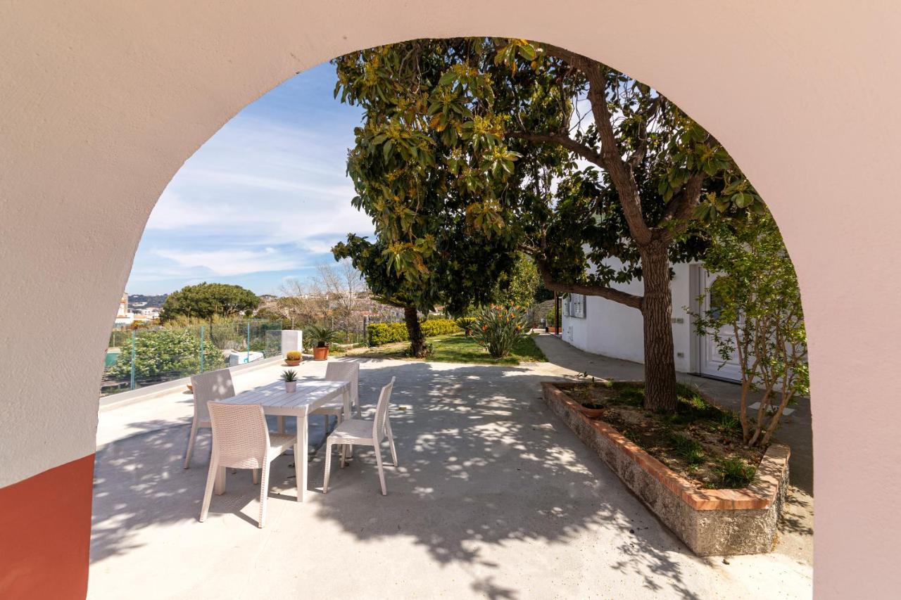 Casa Degli Aranci Villa Forio di Ischia Exterior foto