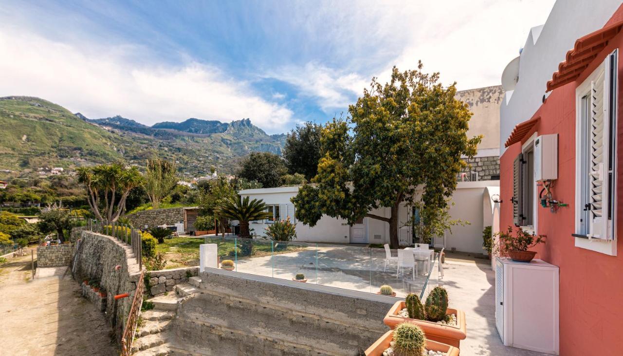 Casa Degli Aranci Villa Forio di Ischia Exterior foto