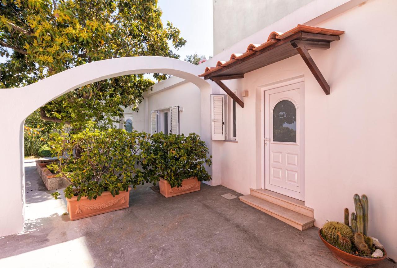 Casa Degli Aranci Villa Forio di Ischia Exterior foto